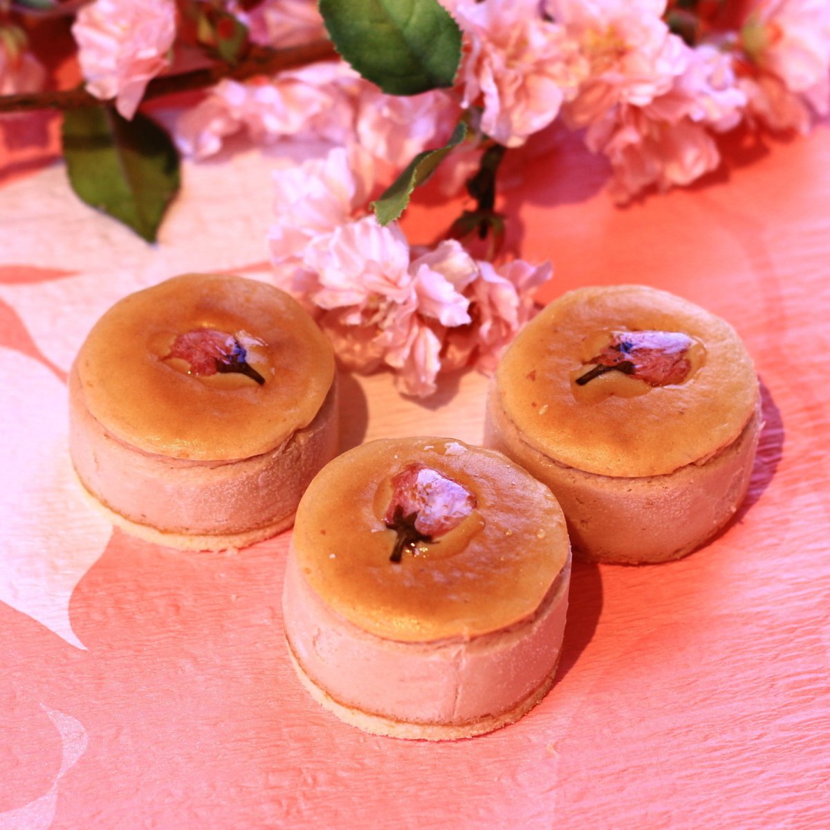 画像1: 桜のチーズケーキ