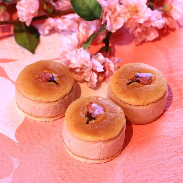 画像1: 桜のチーズケーキ